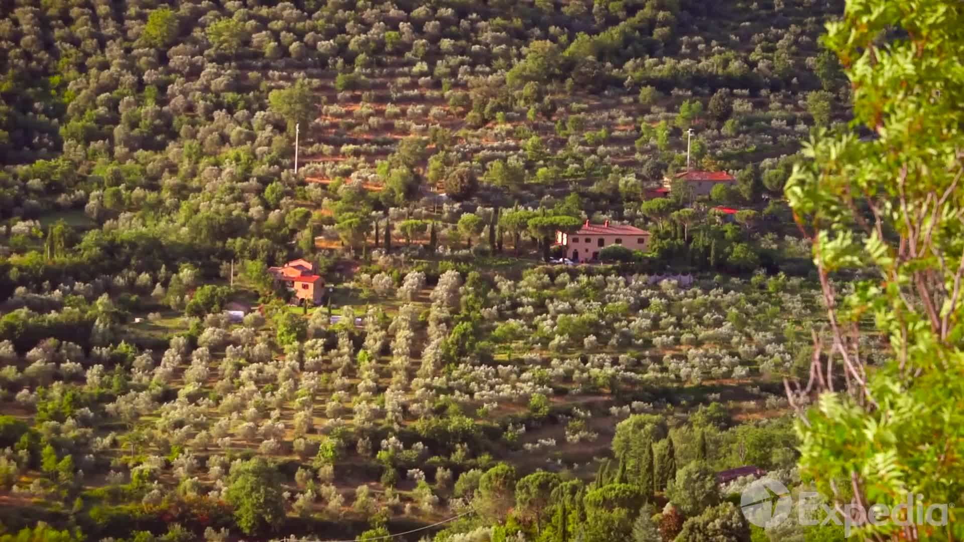 Colorful houses overlooking the crystal-clear waters of Cinque Terre