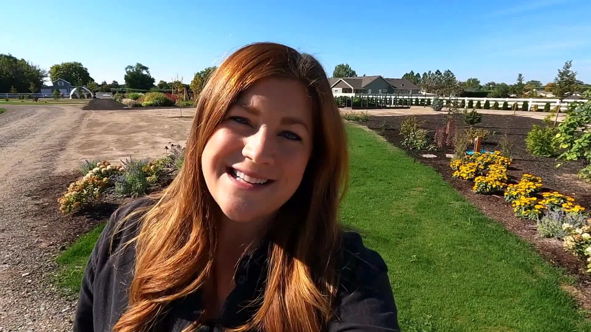 Before and after images of a cut flower garden with and without edging