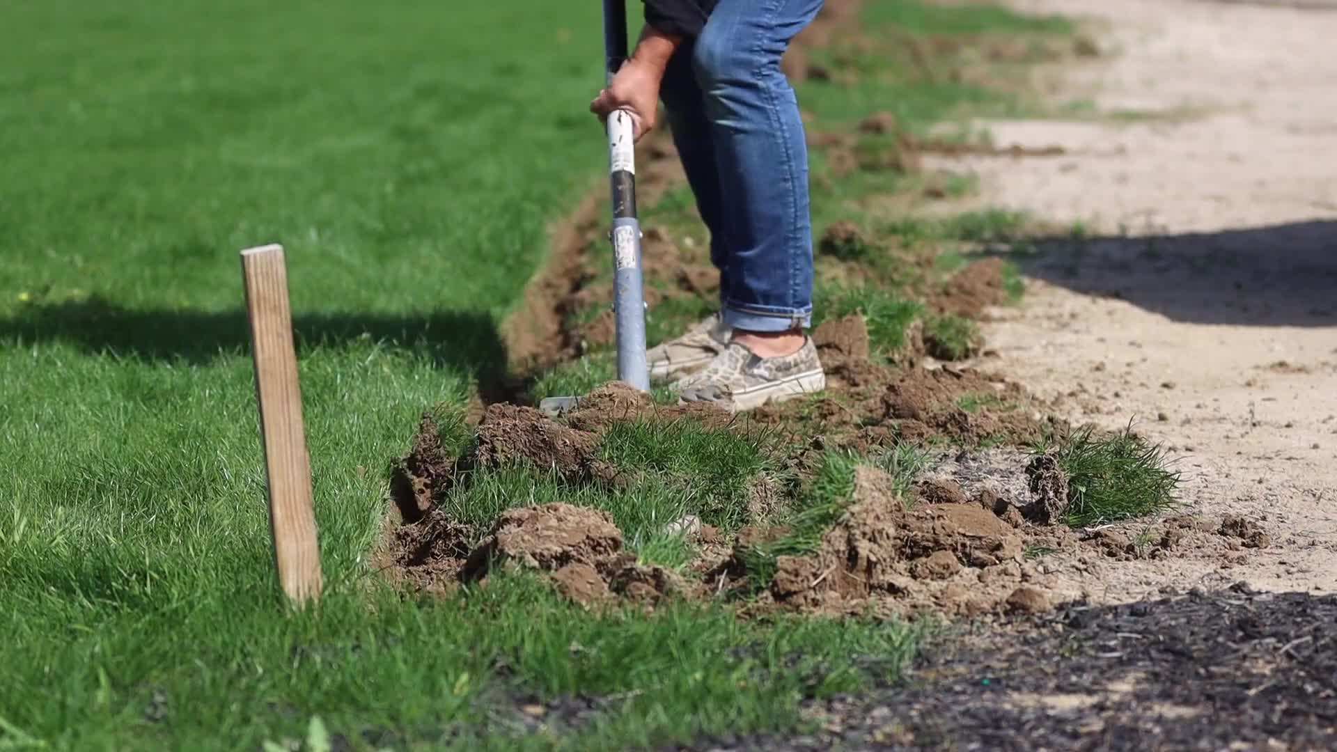 Image of a steel step edger