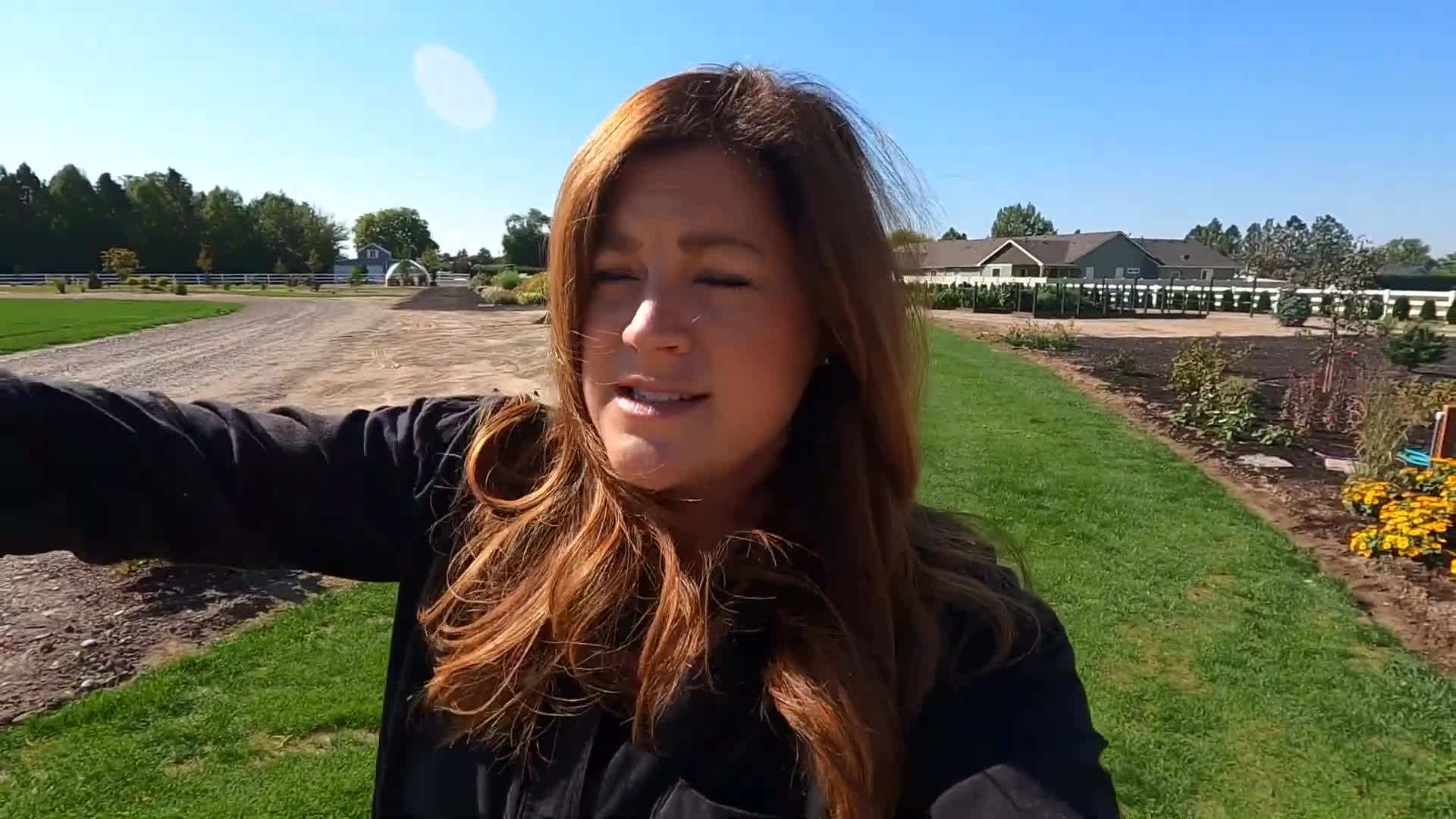 Before and after images of a grass pathway after edging