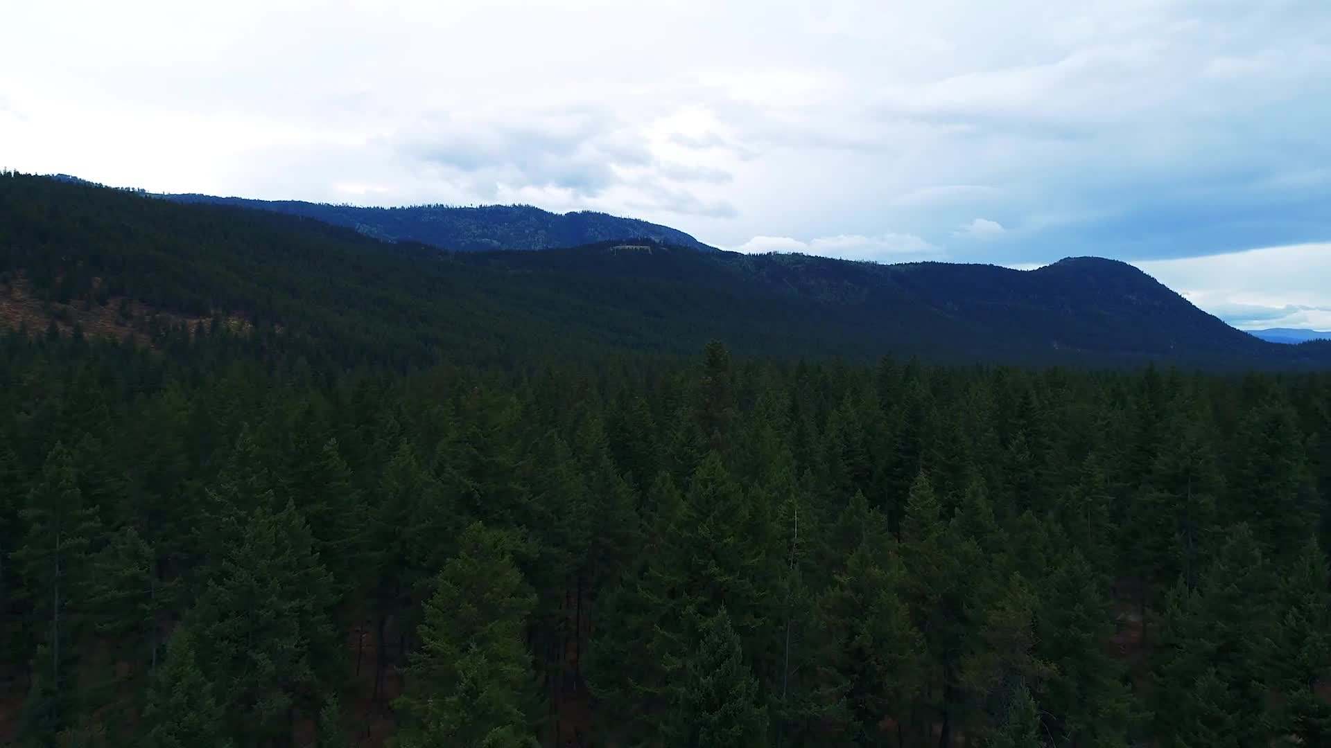 Tiny House Warriors logo