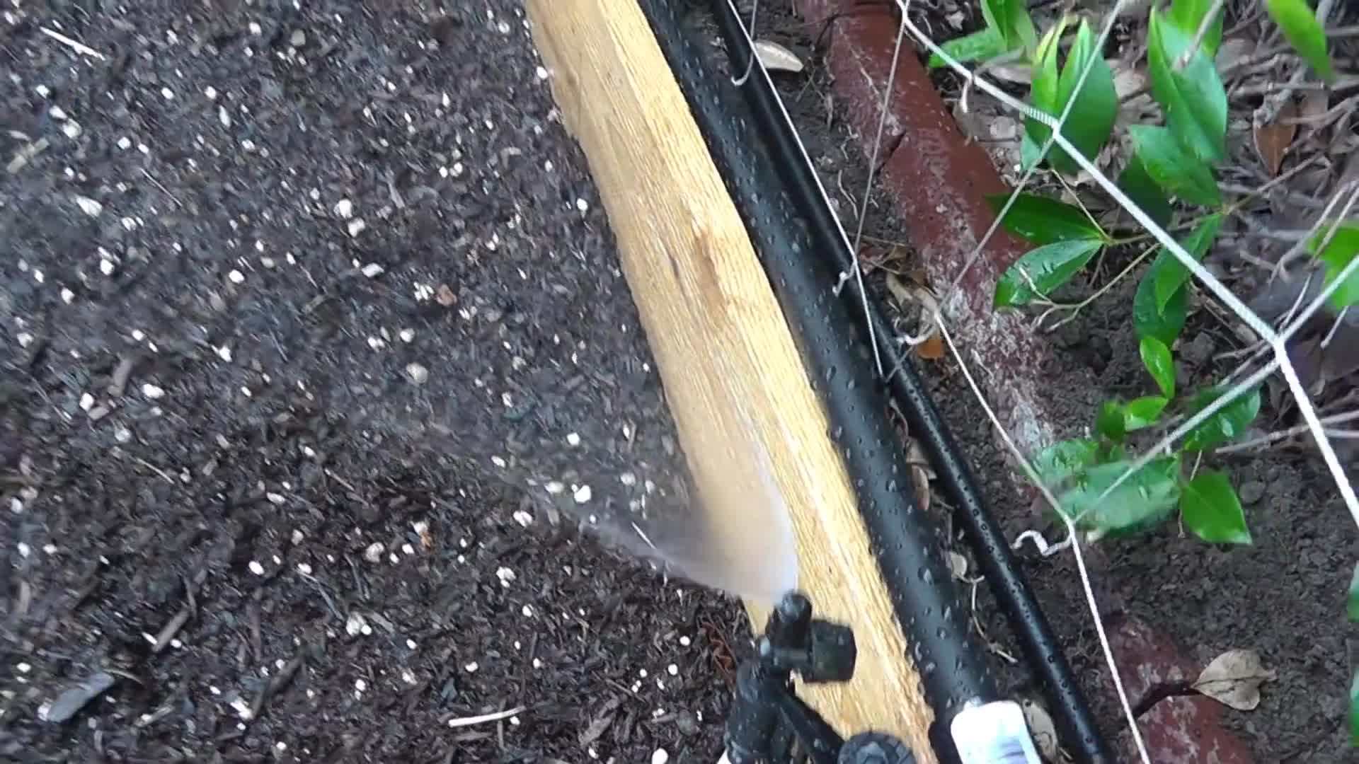 Preventing Emitter Clogging