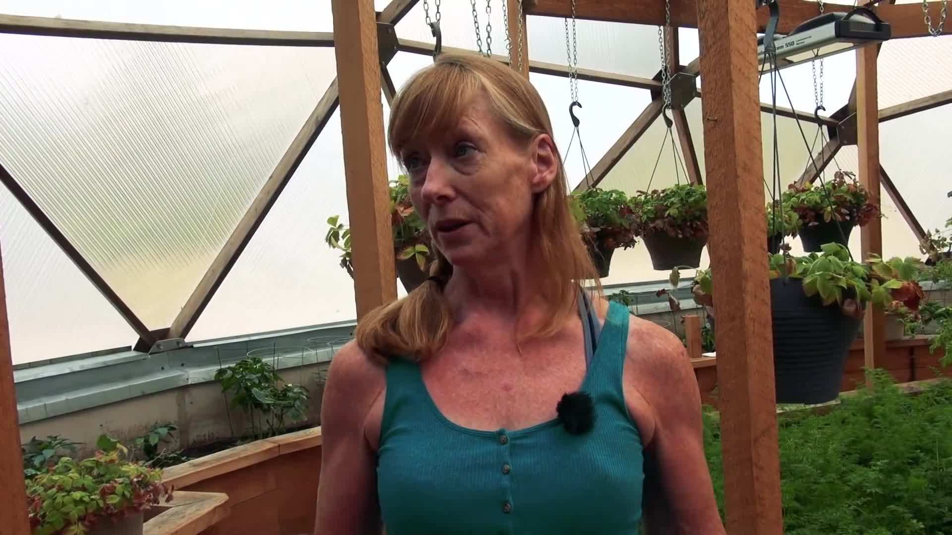 Solar panels for electricity