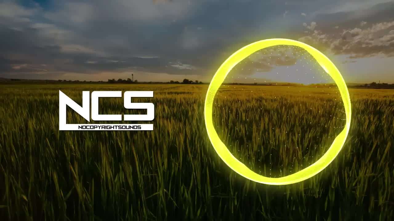 A well-organized home office setup