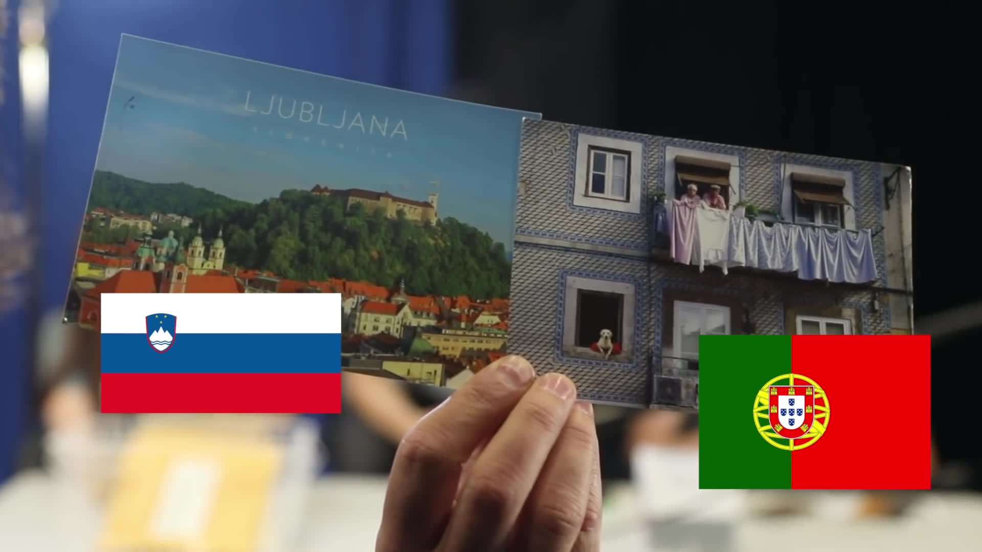 Wild reindeer in Norway