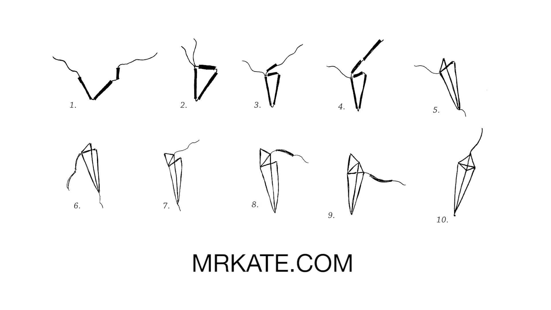 Placing an air plant inside the finished cage