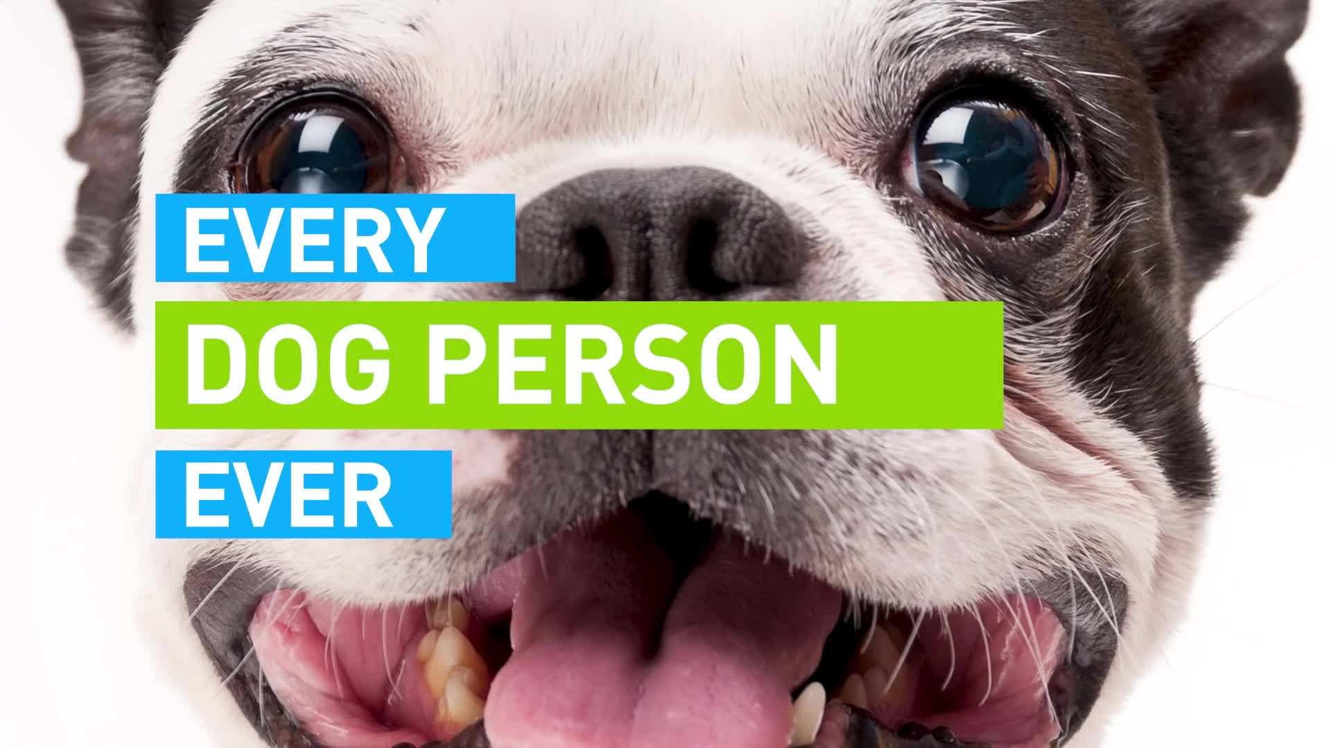 A person having a conversation with their dog