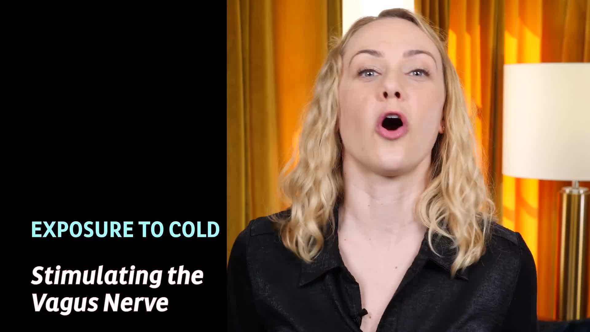 Visual showing the impact of vagus nerve stimulation on digestion