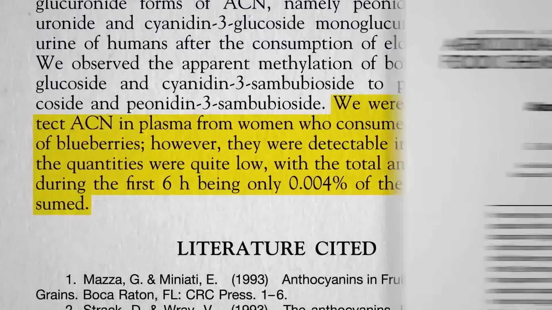 Blueberry muffins on a cooling rack