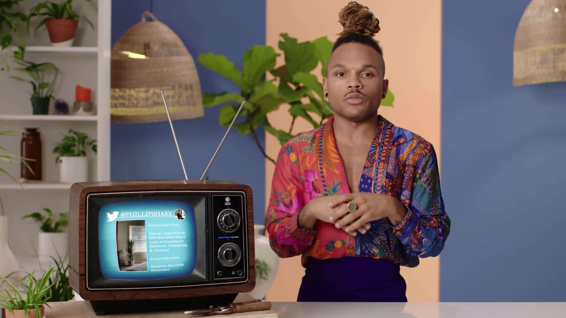 Root rot in a houseplant