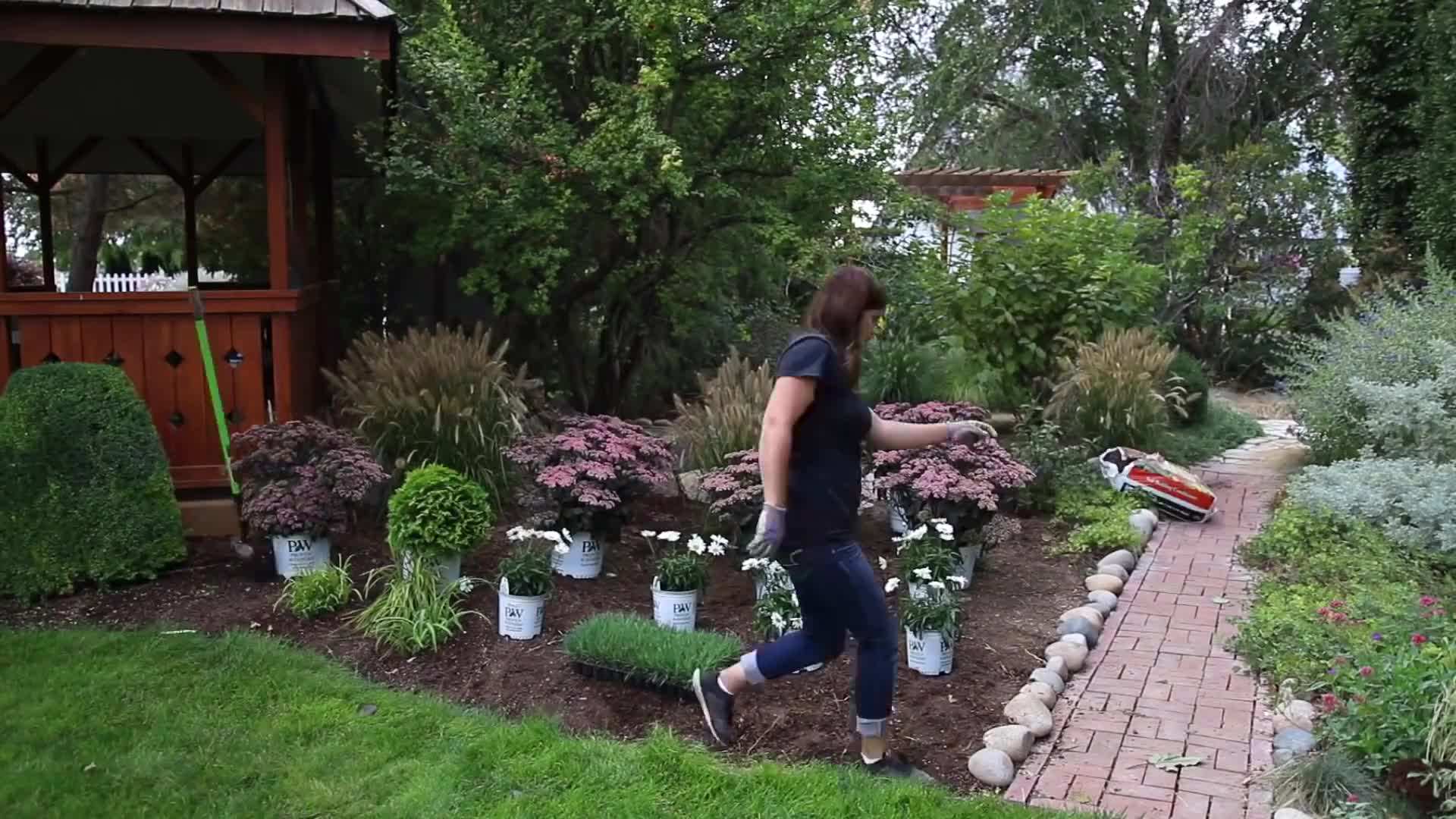 Step-by-step guide for planting an evergreen
