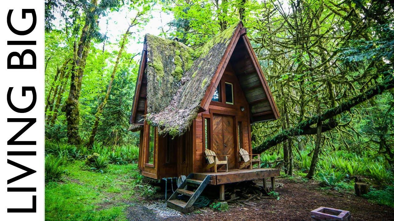 Enchanting Cabin in the Forest: A Whimsical Retreat in the Olympic Rainforest