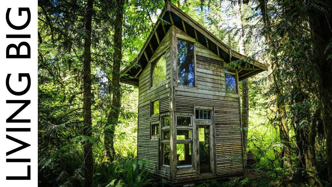 Building a Forest Cabin for Only $800: A Masterclass in Salvage Materials