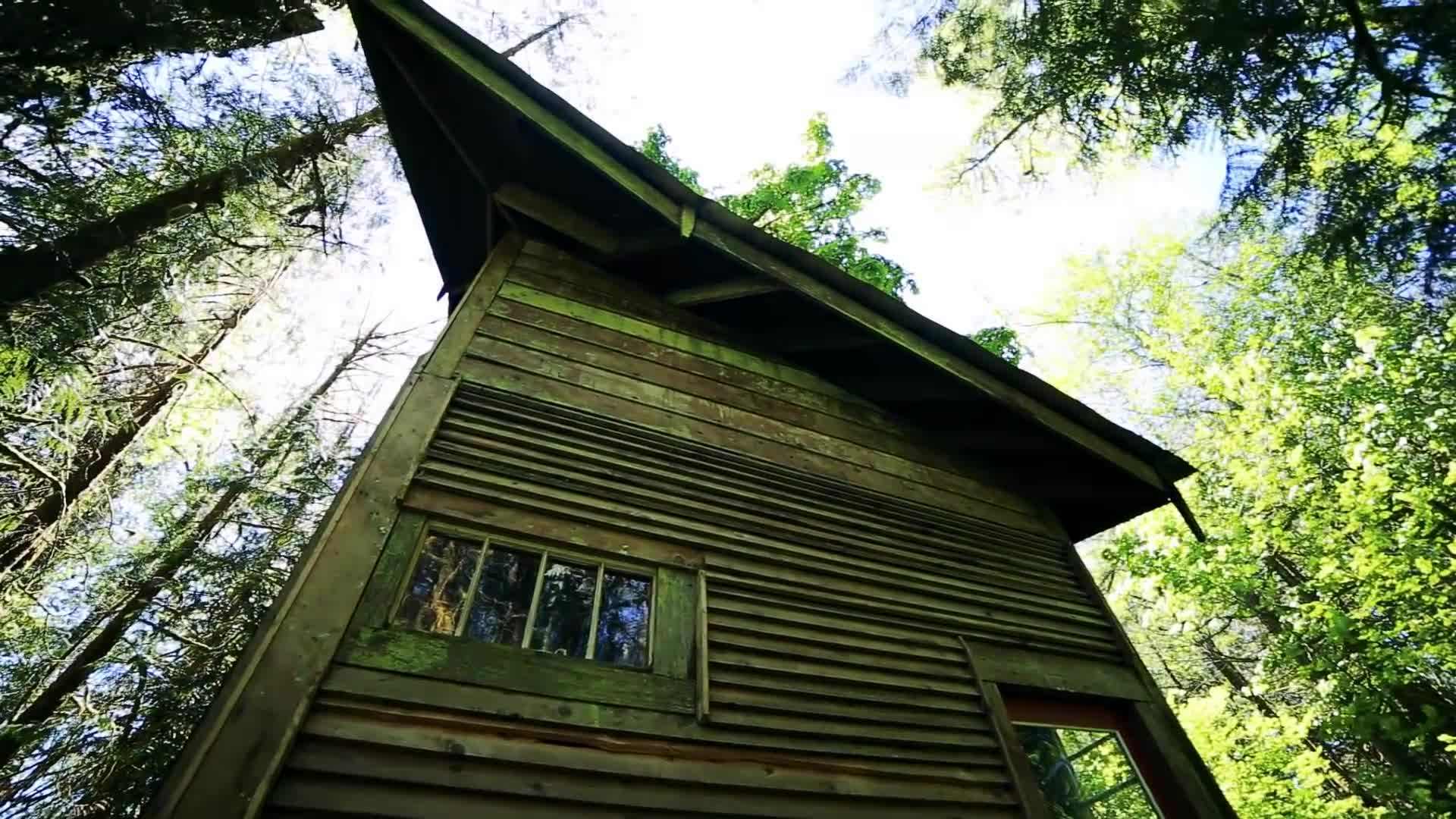 Charming rustic aesthetic of the cabin