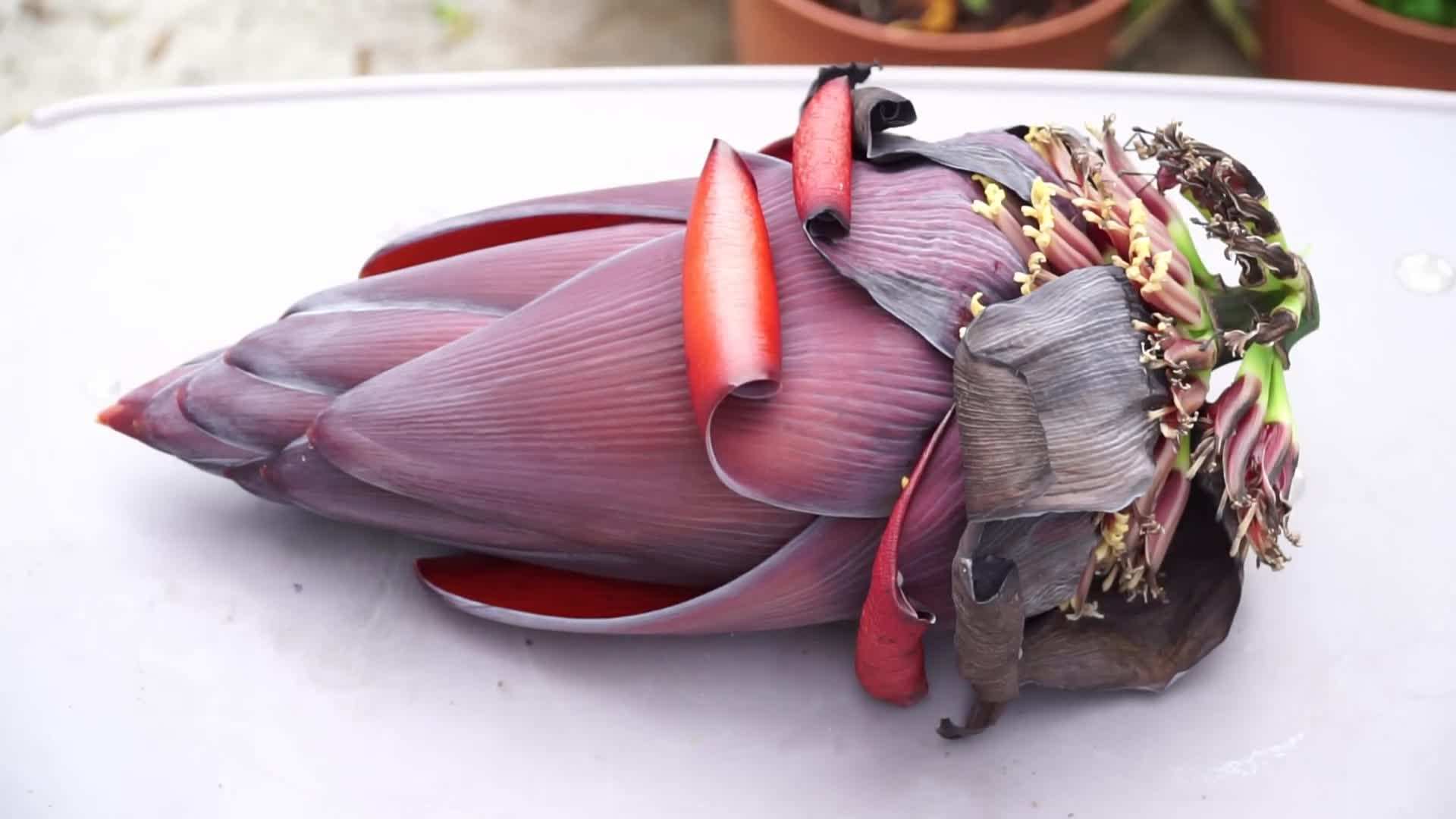 Caring for a banana tree