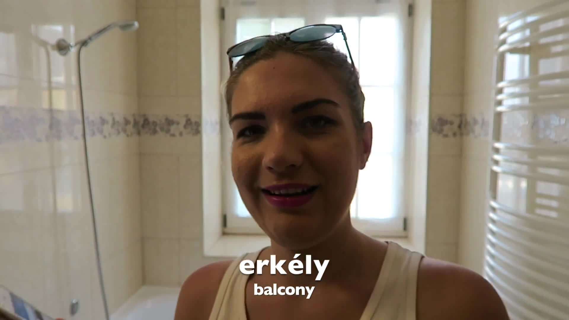 Hungarian Phrase Book