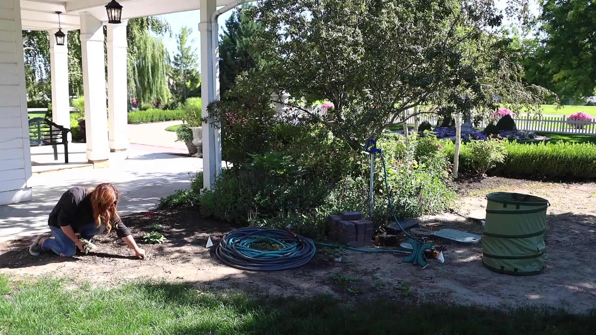 Using a drip irrigation system for efficient and targeted watering