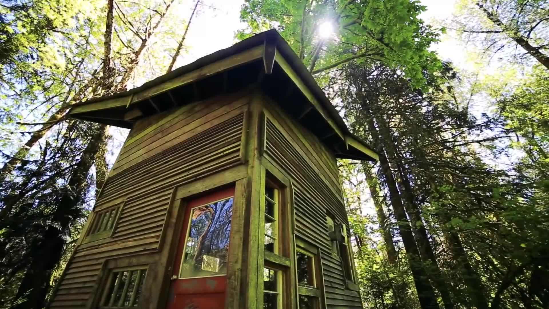 Solar panels installed on the cabin's roof