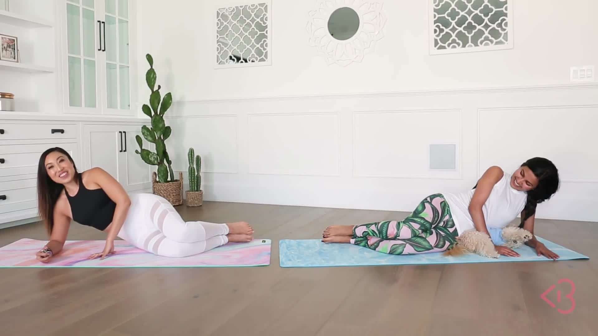 Basic Clamshell Exercise