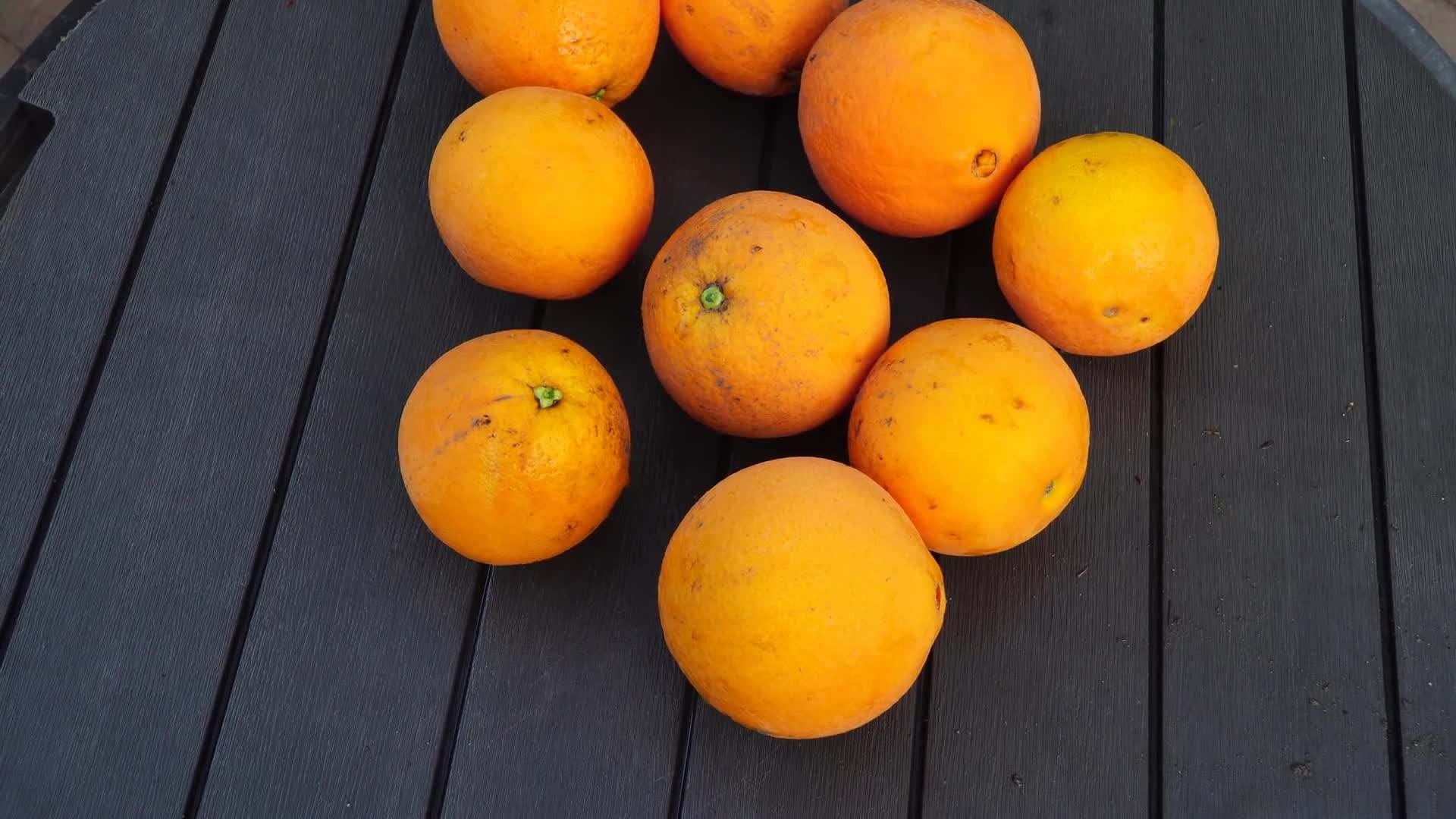 Sowing summer plant seeds indoors