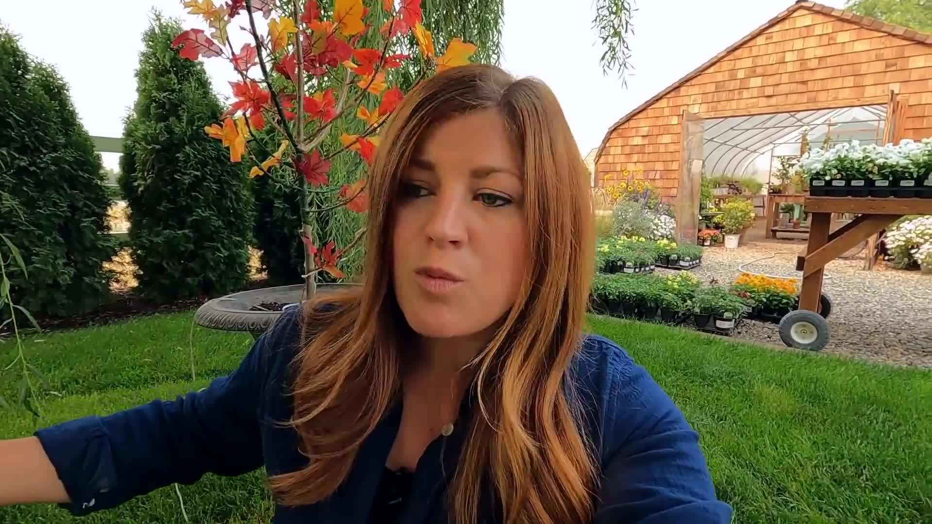 Gather branches, string lights, and faux fall leaves or flowers