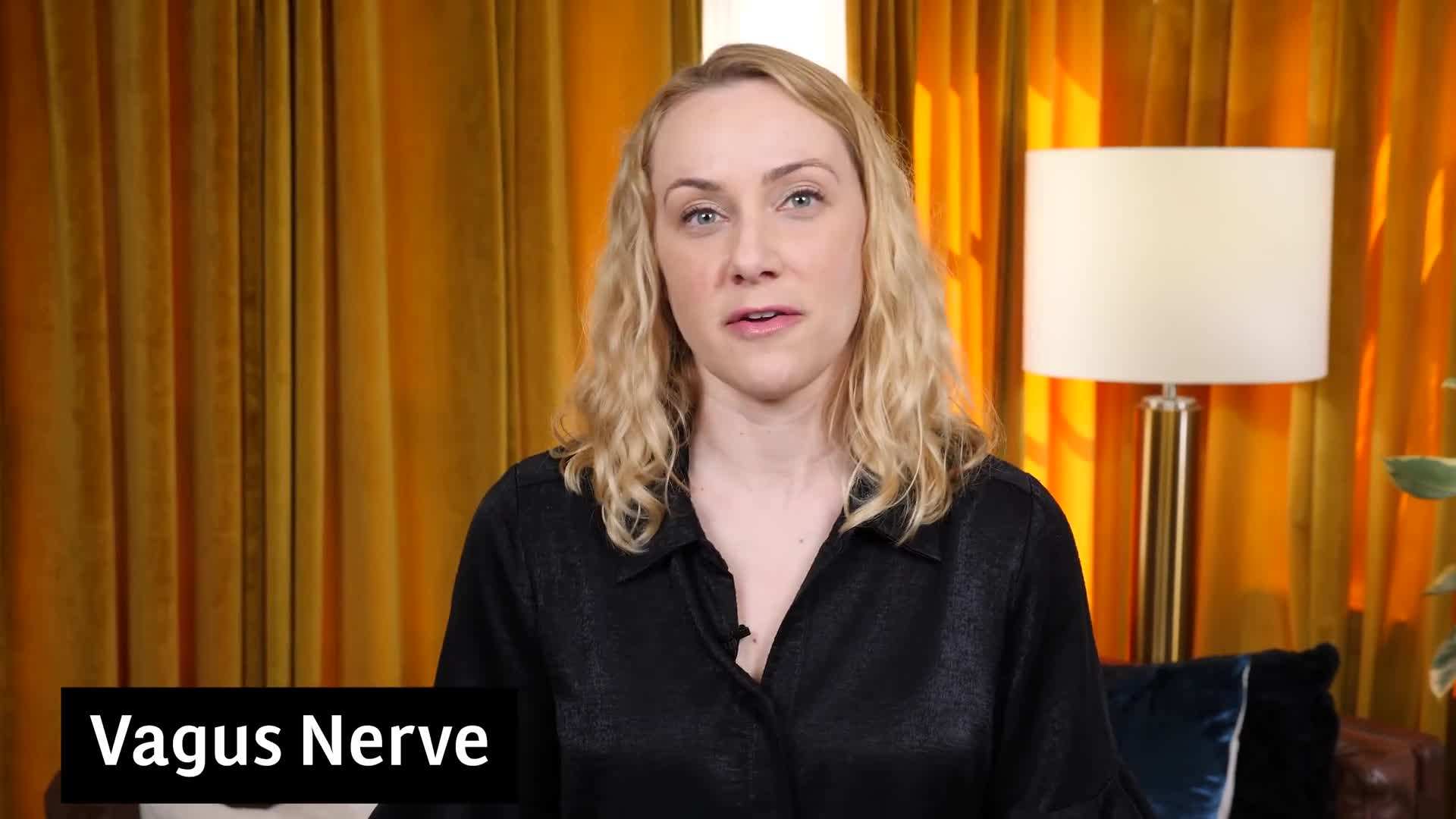 Image depicting the connection between the vagus nerve and the parasympathetic nervous system