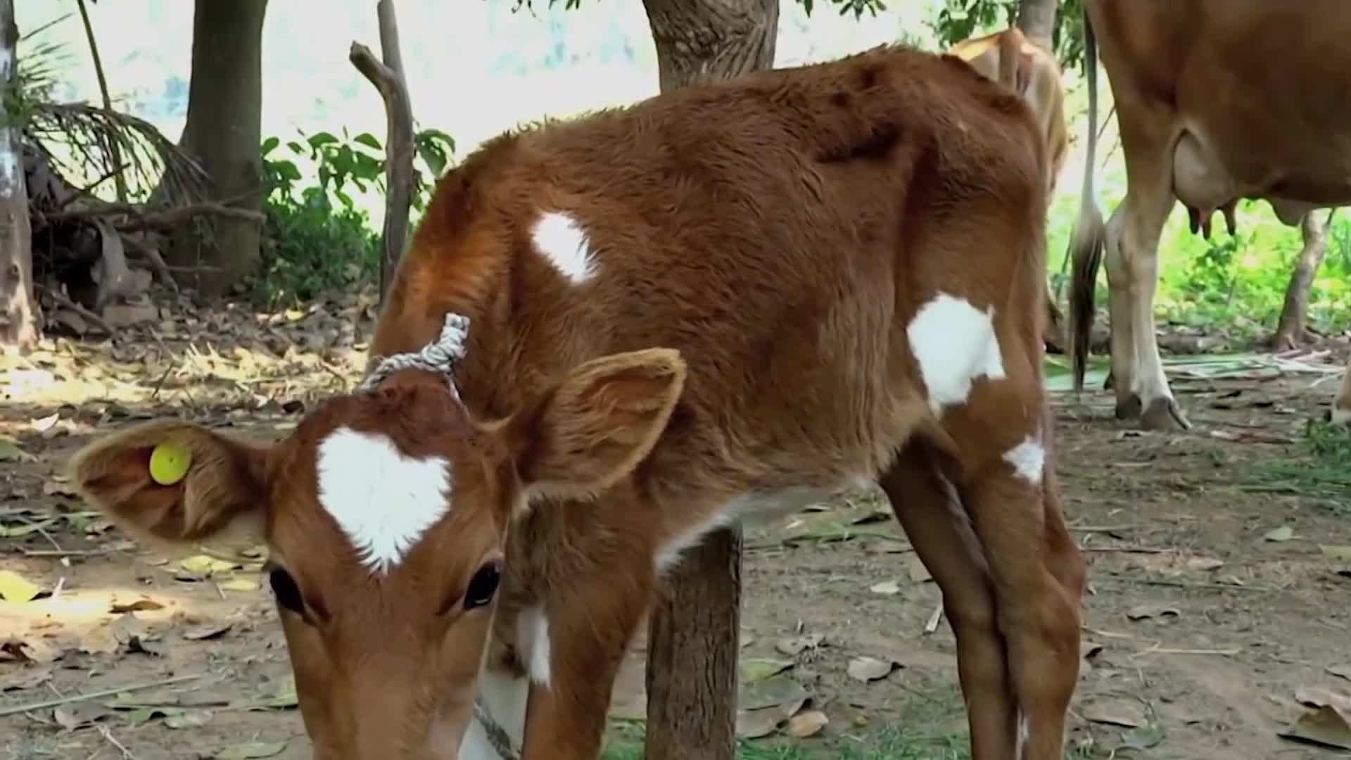 Leather workers in unsafe working conditions