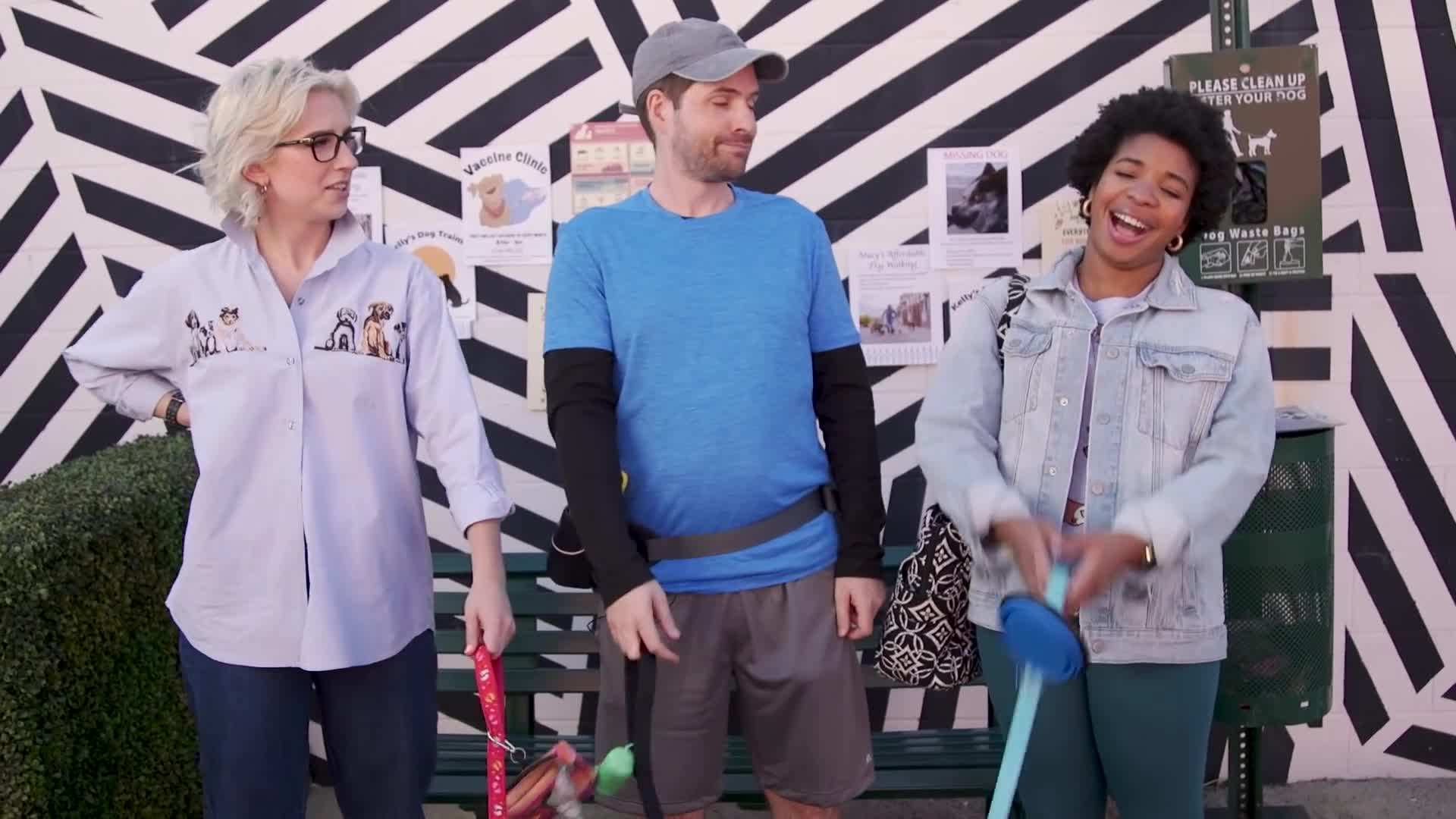 A dog and their owner enjoying a hike together