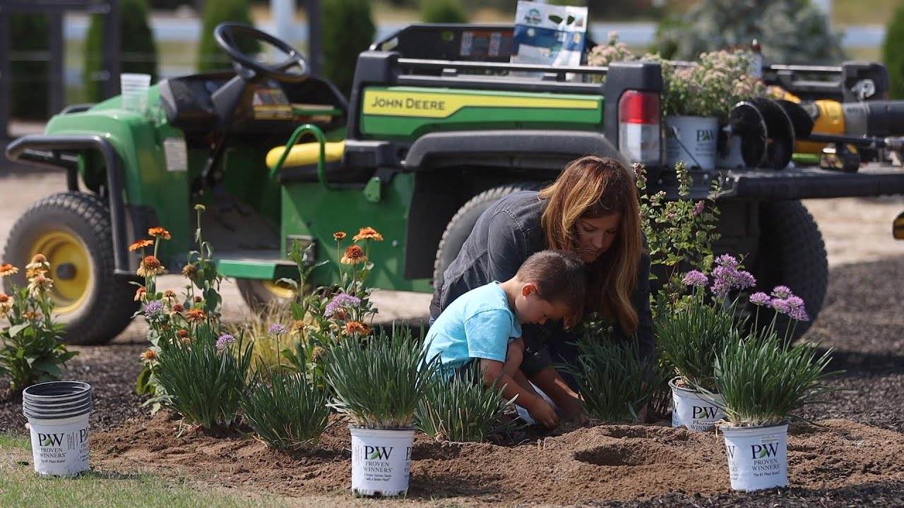 Planting 4 Varieties of Low Maintenance Perennials - A Gardening Guide