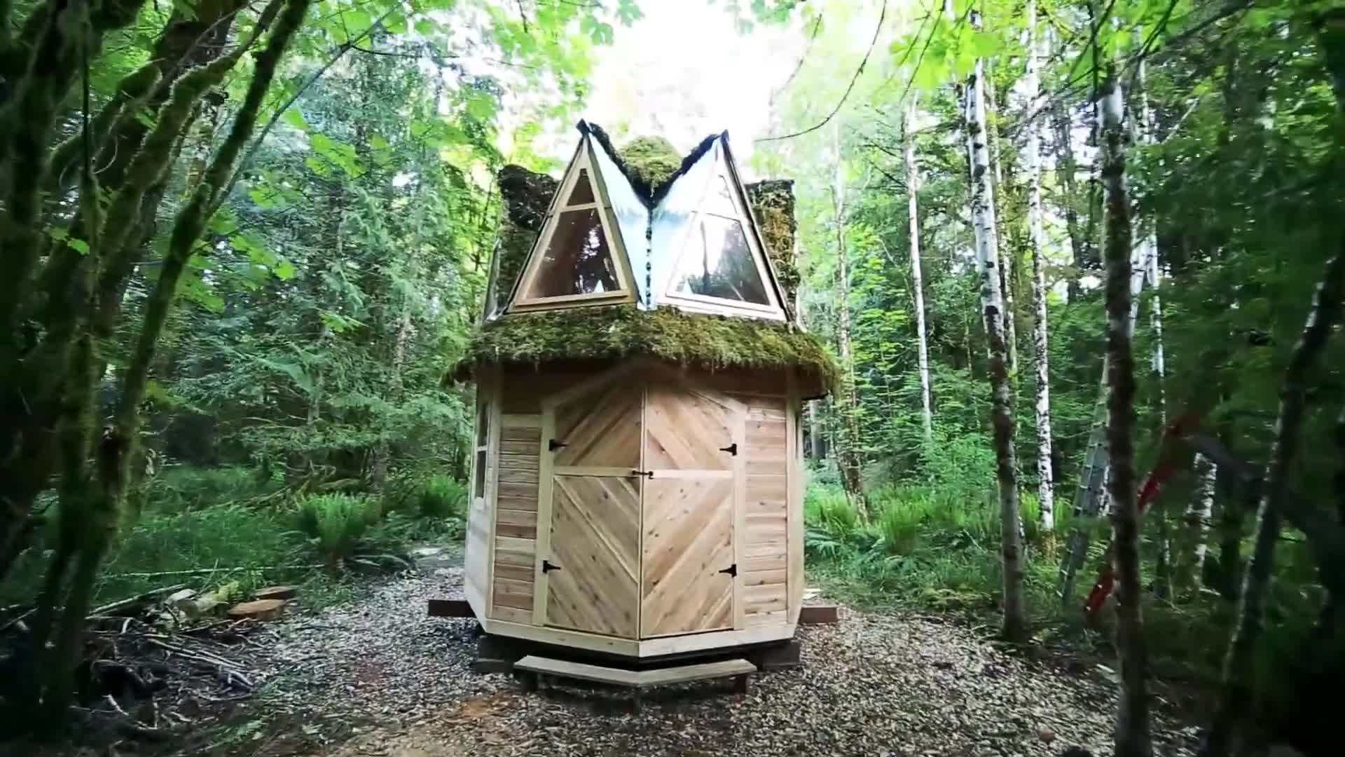 Colorful bird in the rainforest