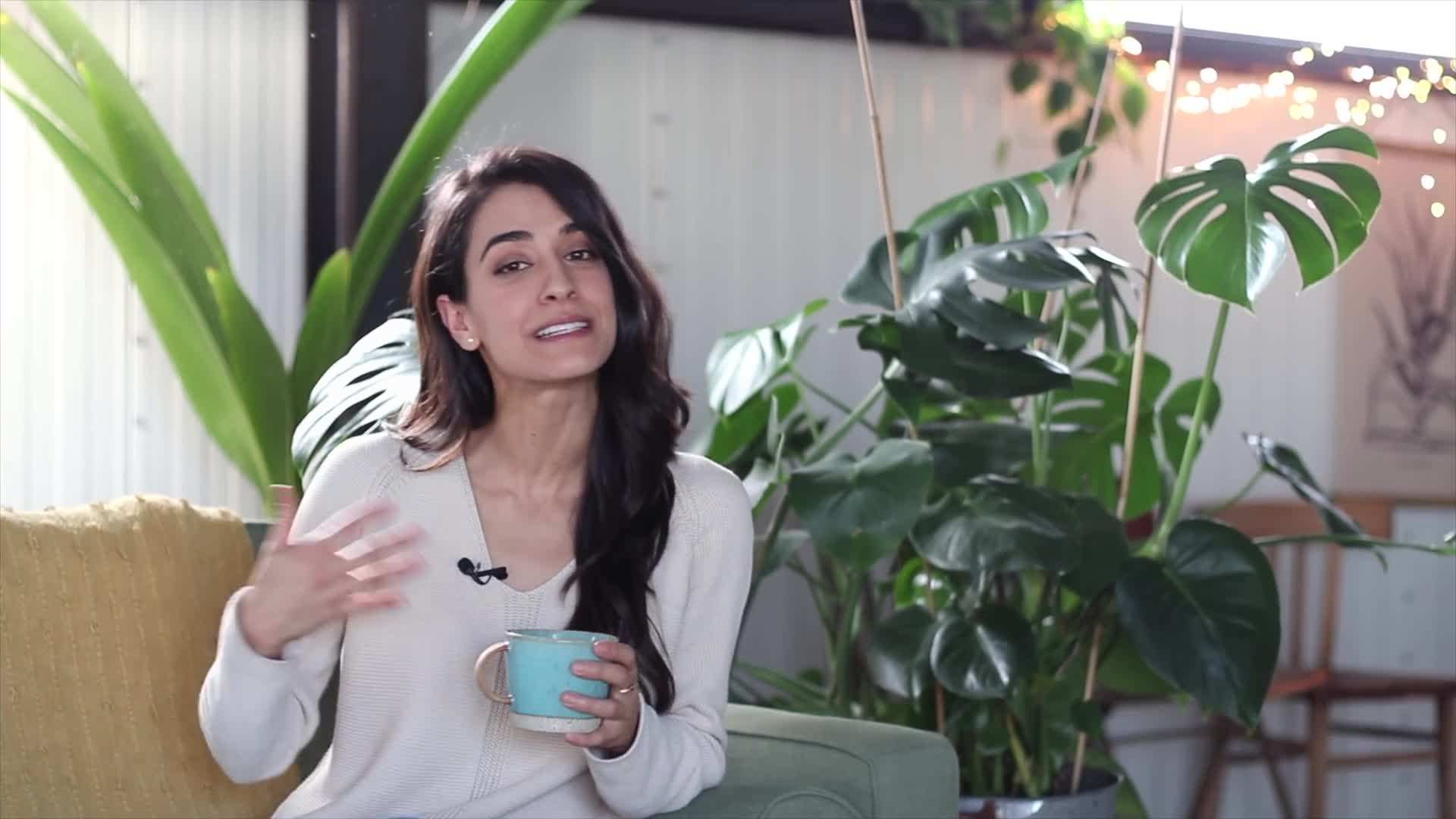 Applying fertilizer to houseplants