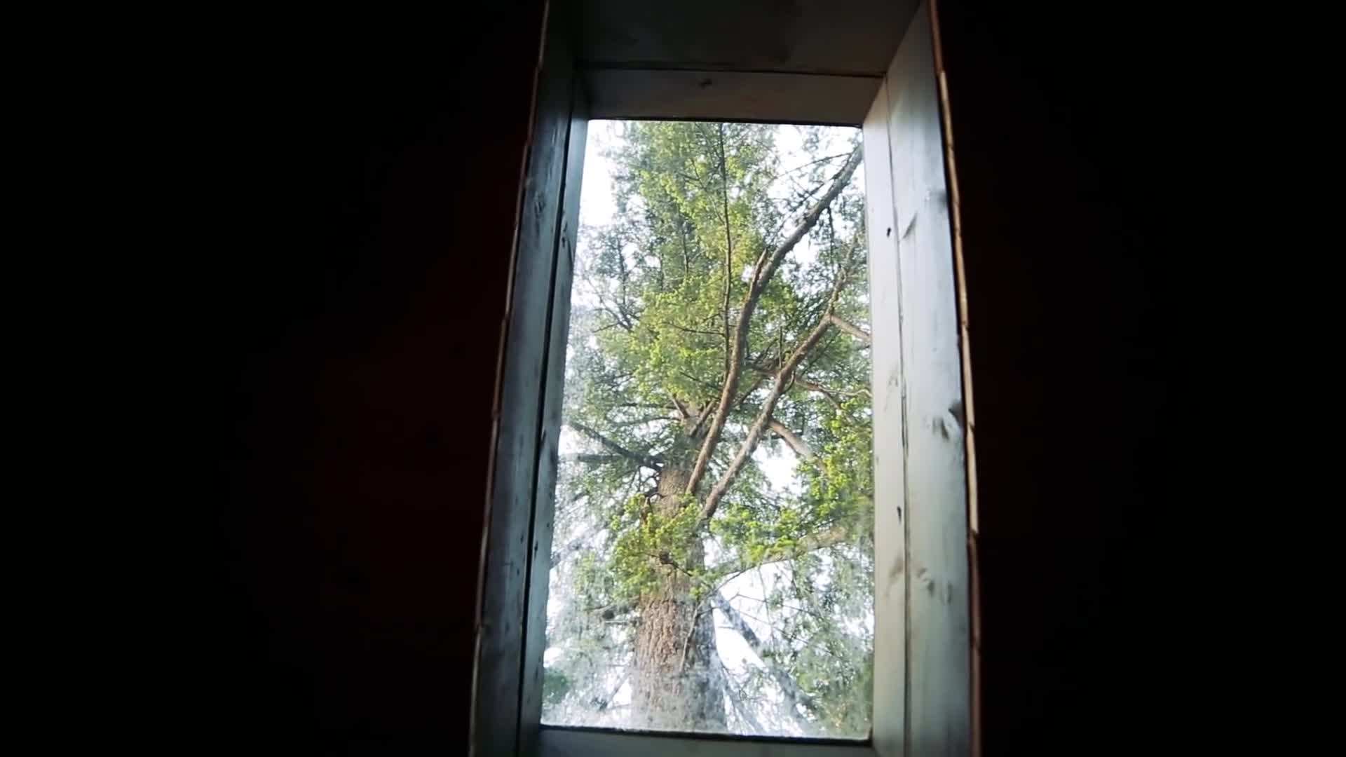 Interior design inspired by the natural colors and textures of the forest