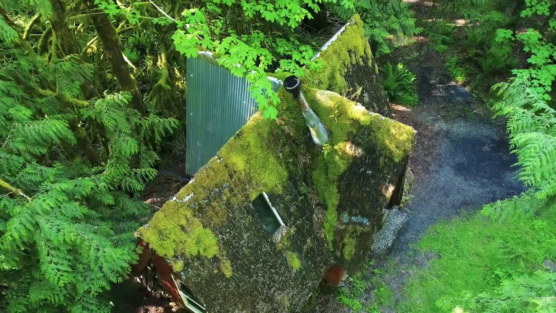 Rustic yet elegant interior of the cabin