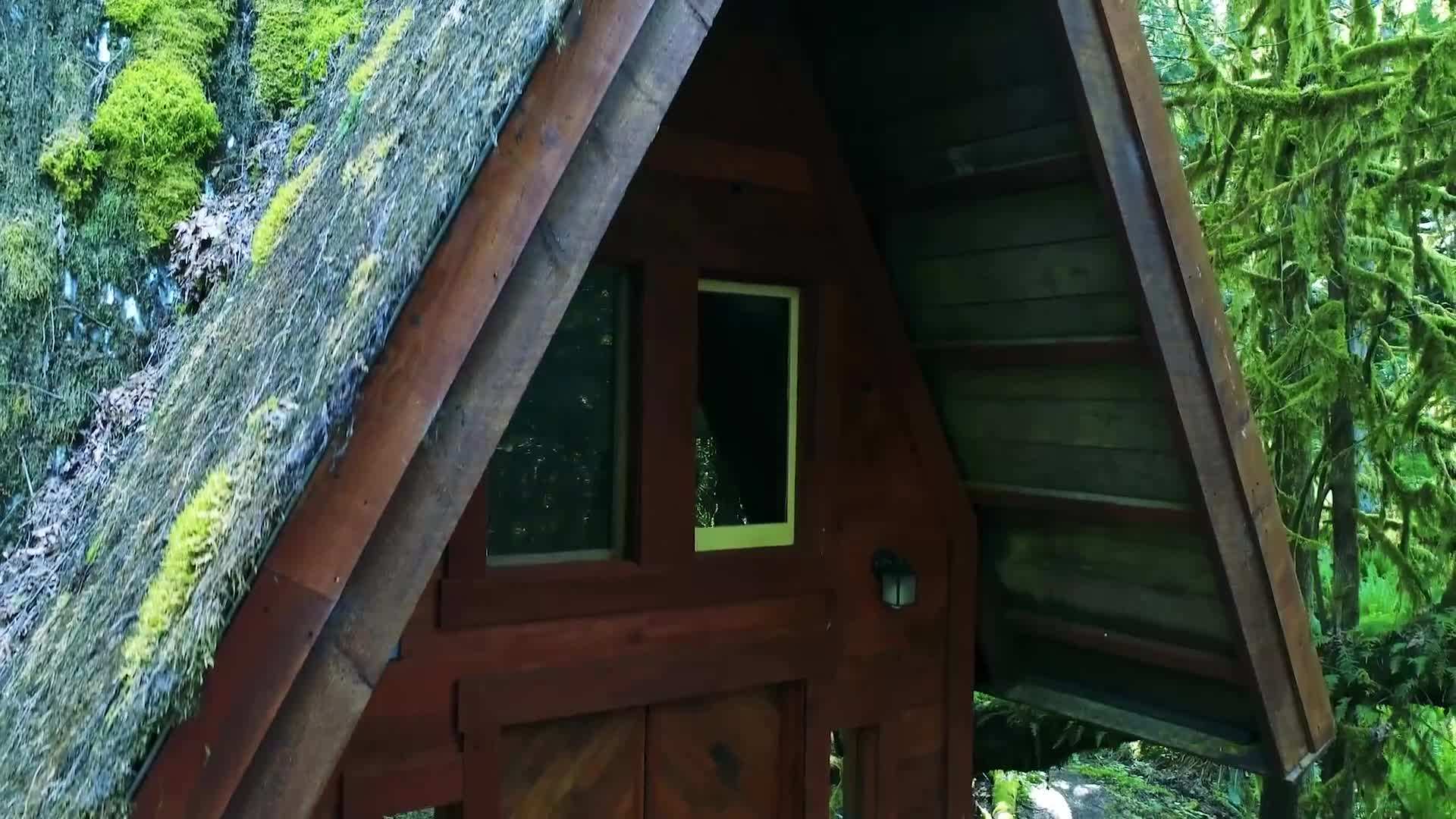 Cozy porch surrounded by lush greenery