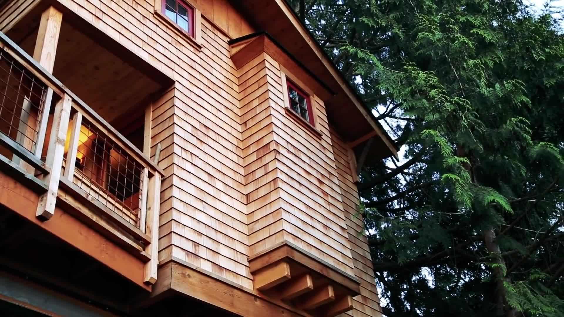Spacious living area with panoramic views of the surrounding forest