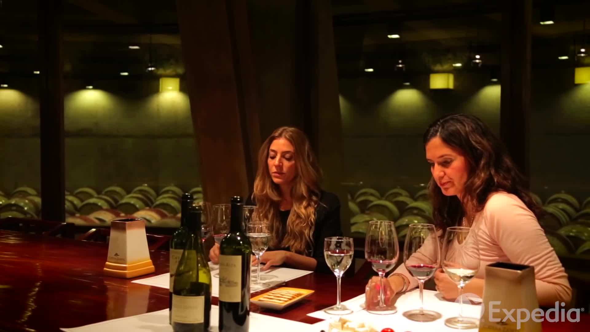 Wine Tasting in the Vineyards