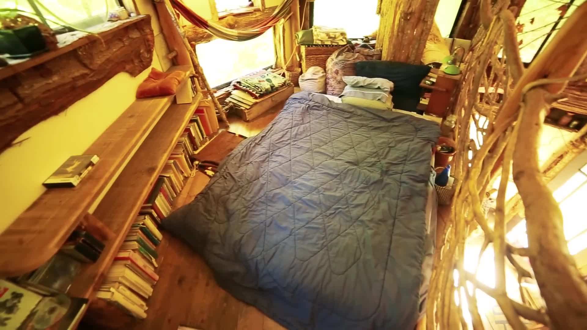 Beautiful view from Alban's woodland cabin