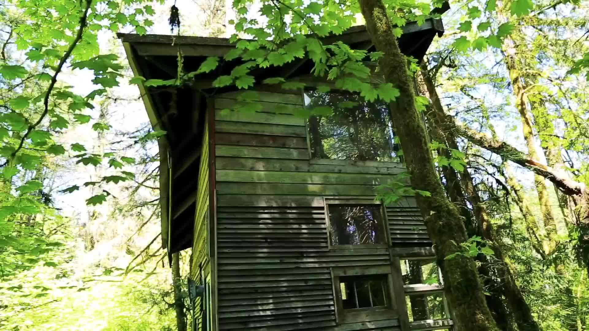 Salvaged wood used for the cabin's walls