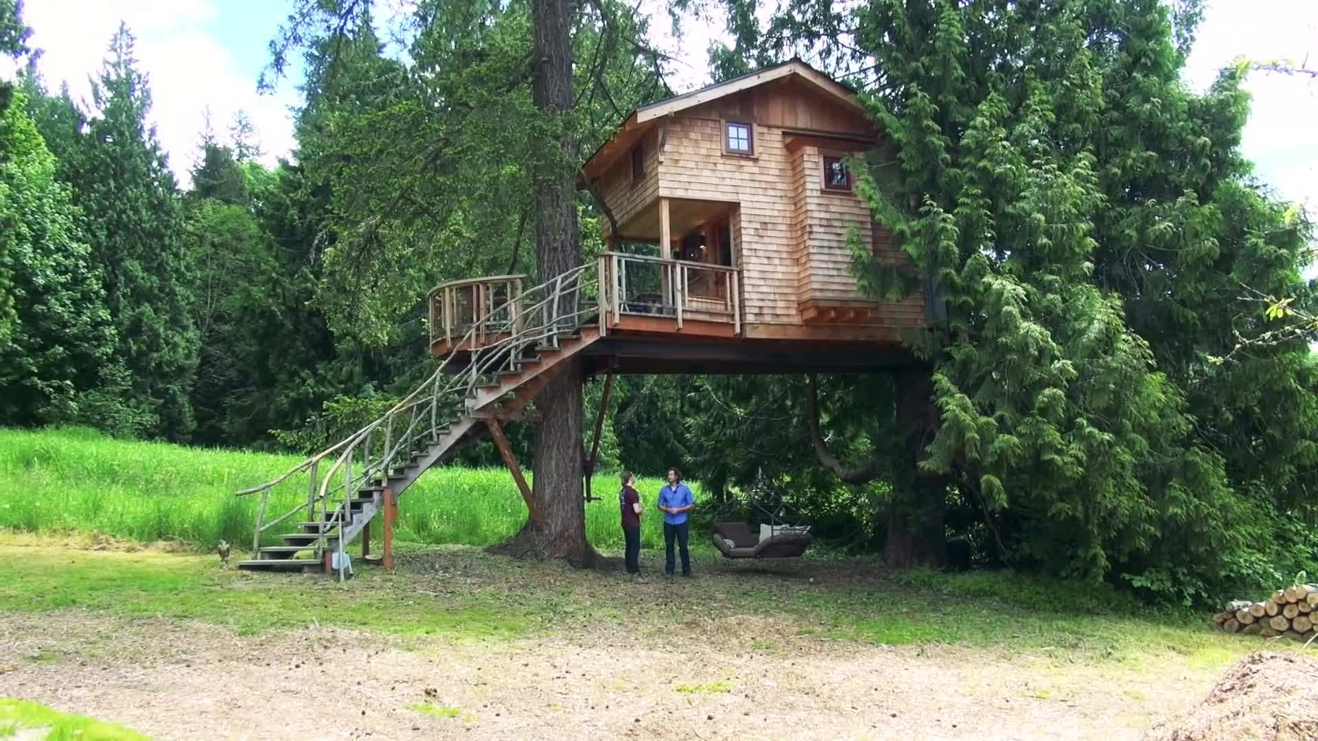 Treehouse built around a majestic oak tree