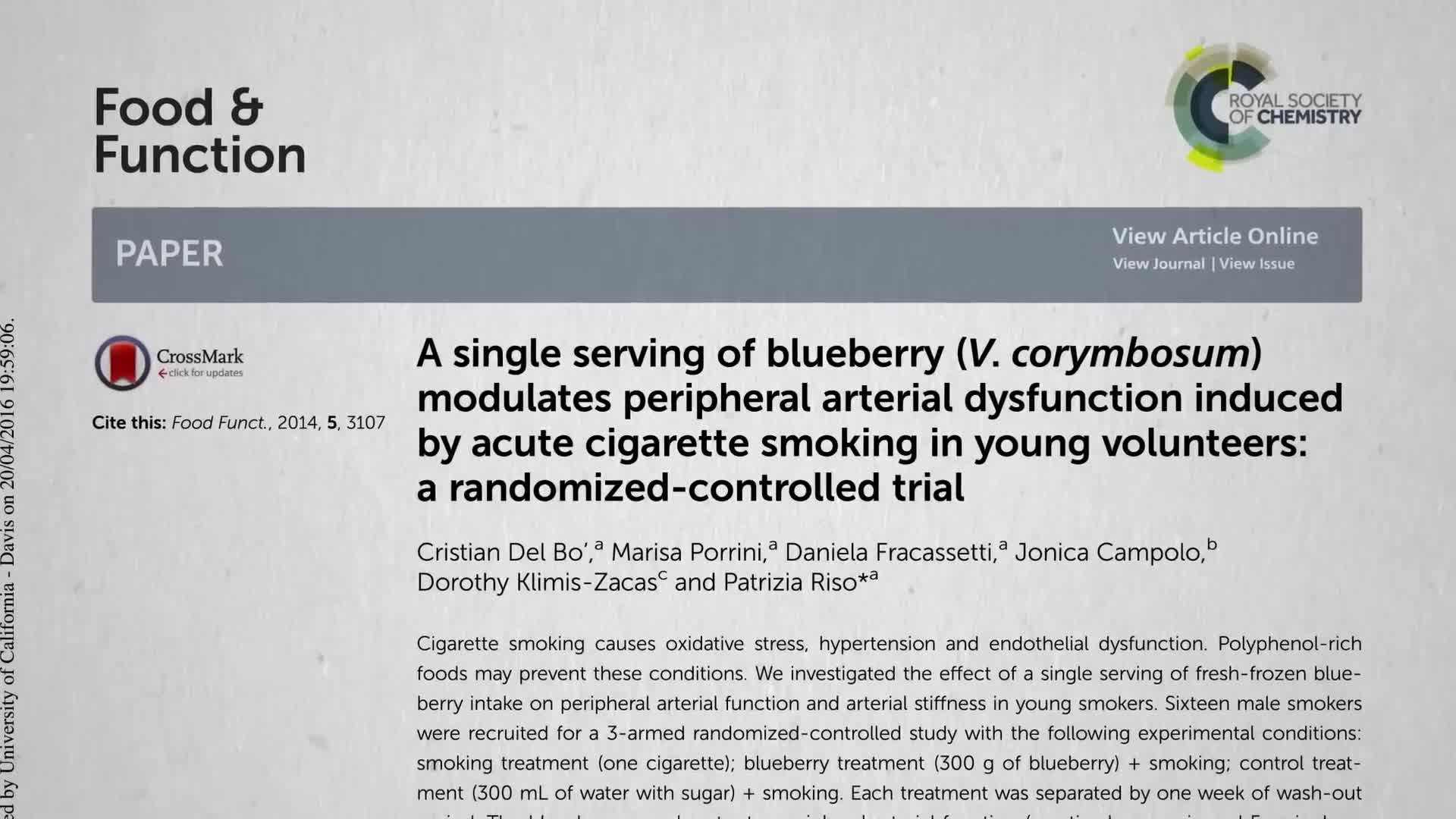 Fresh blueberries in a bowl