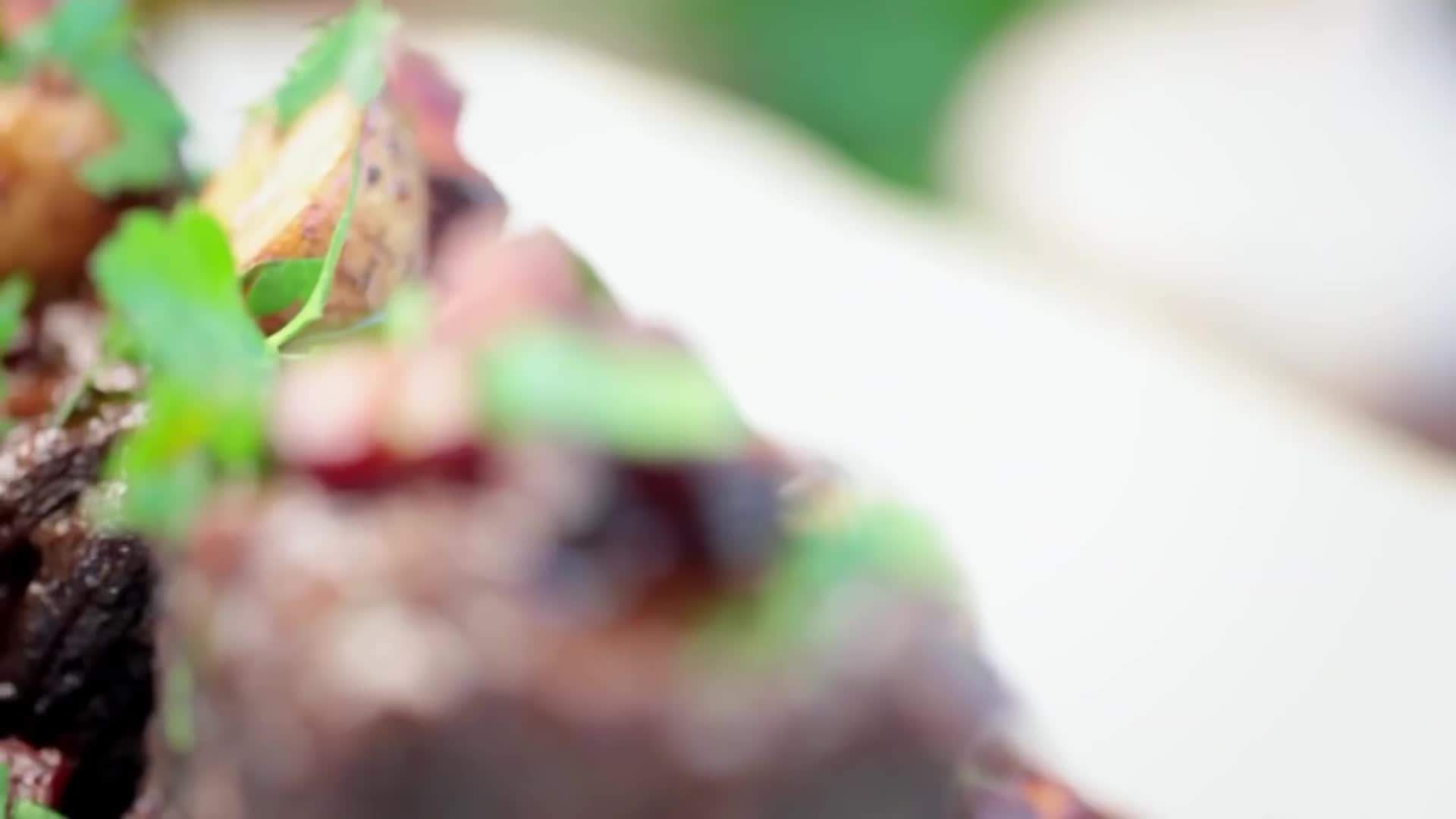 Benefits of Meal Prepping