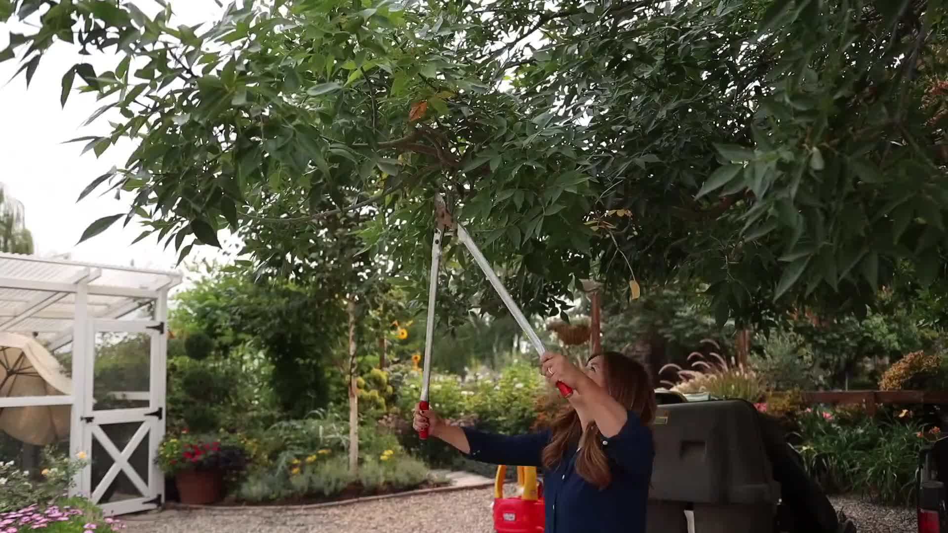 Plug in the lights to illuminate the centerpiece