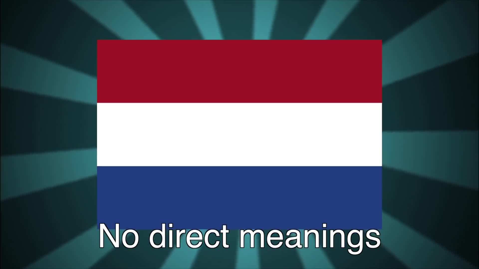 Vibrant tulip fields in full bloom