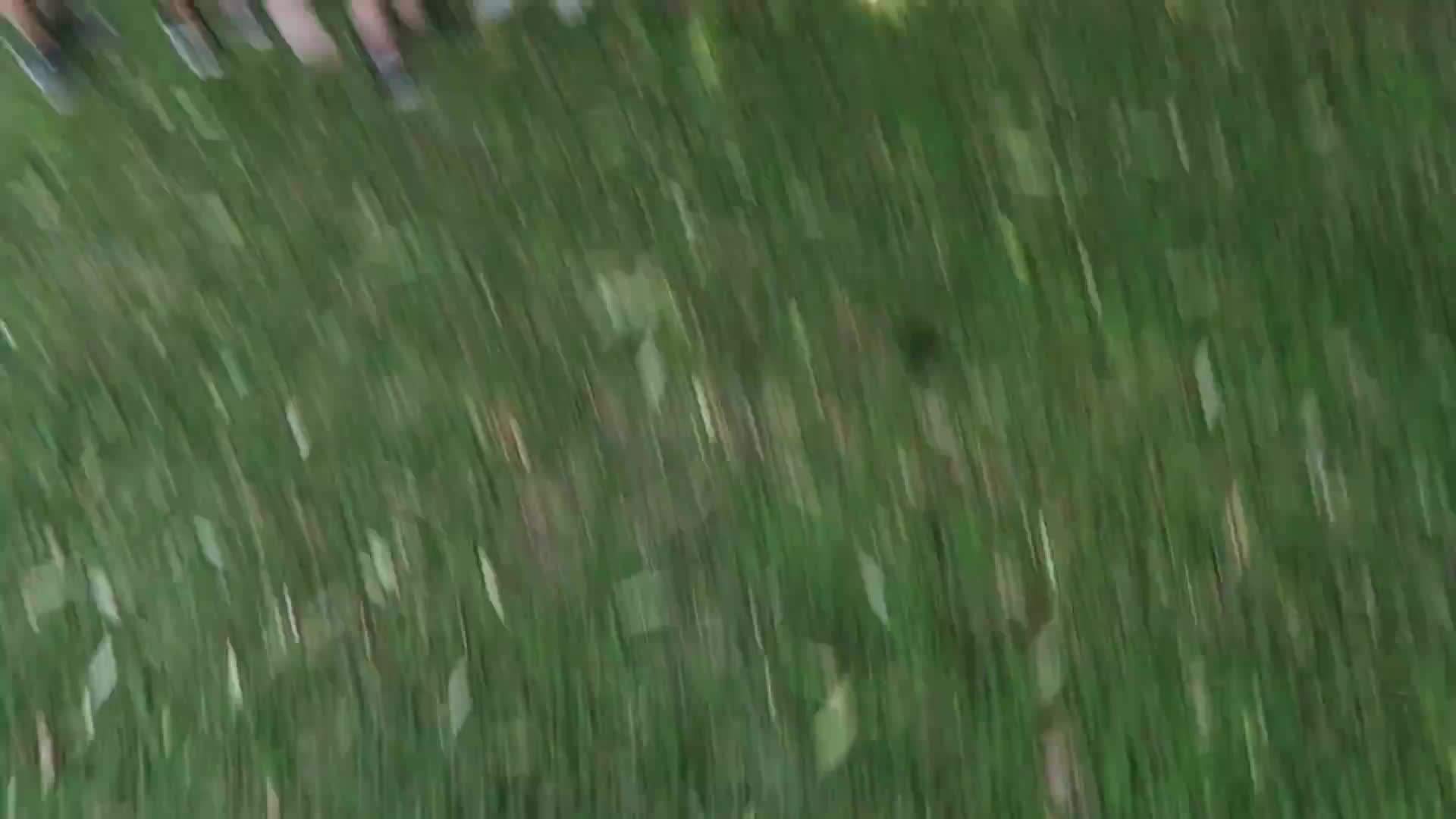 Camera Gear for Capturing Memories