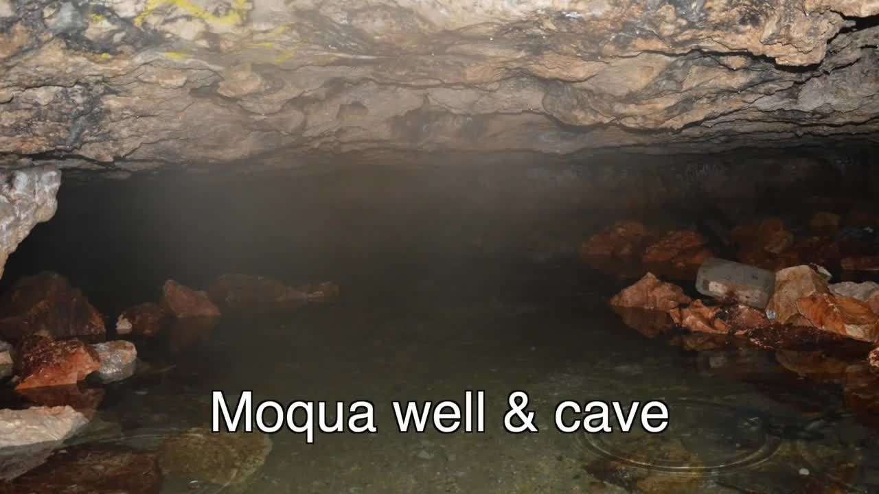 Exploring the lush rainforests of Nauru