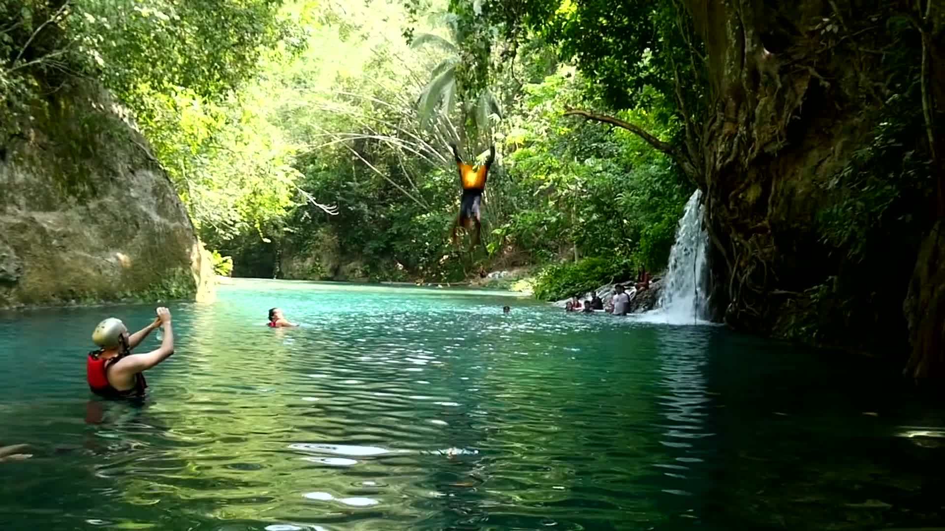 Tarsiers, small primates native to the Philippines