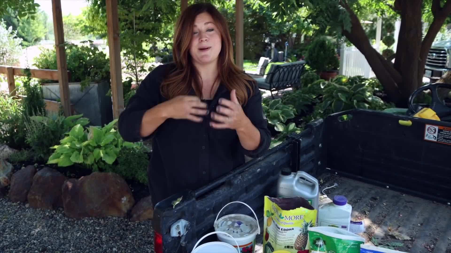 Iron chelate - a key ingredient for healthy plants