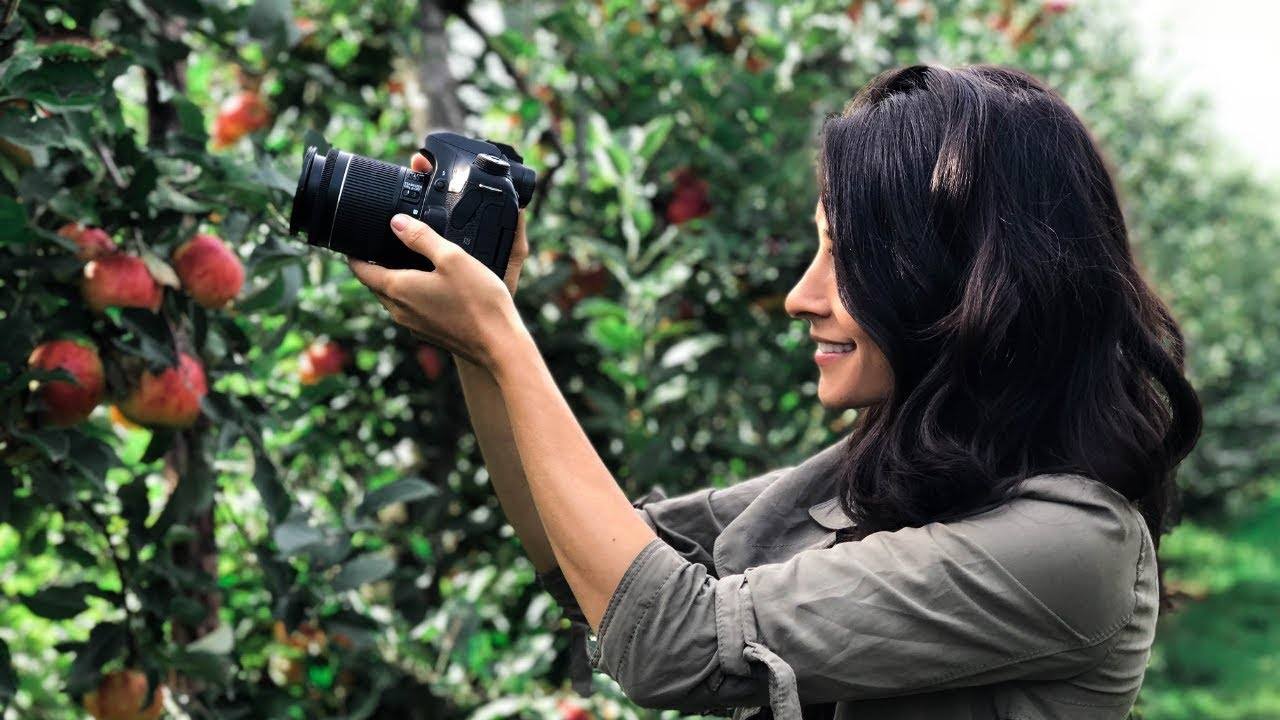 Finding Balance: A Guide to Healthy Living