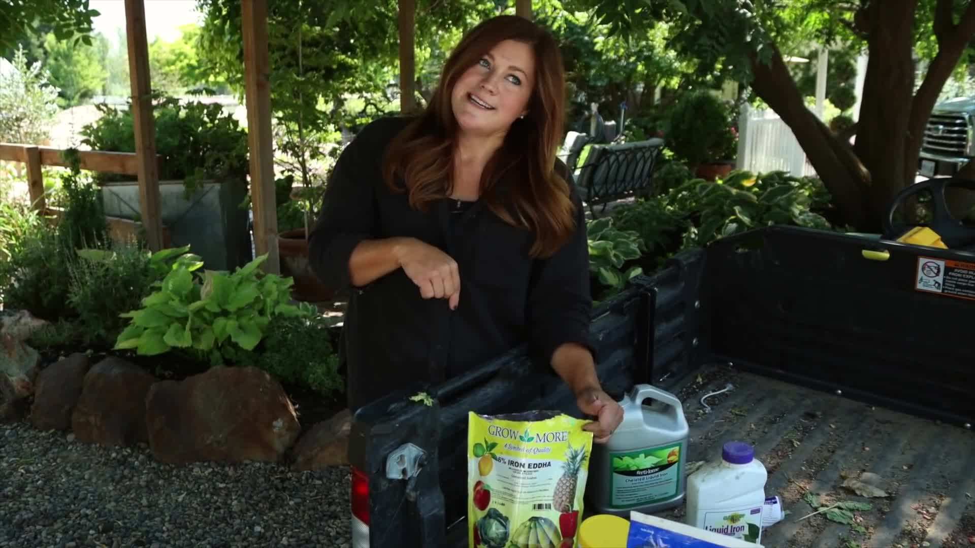 Dissolving Proven Winners Water Soluble Plant Food