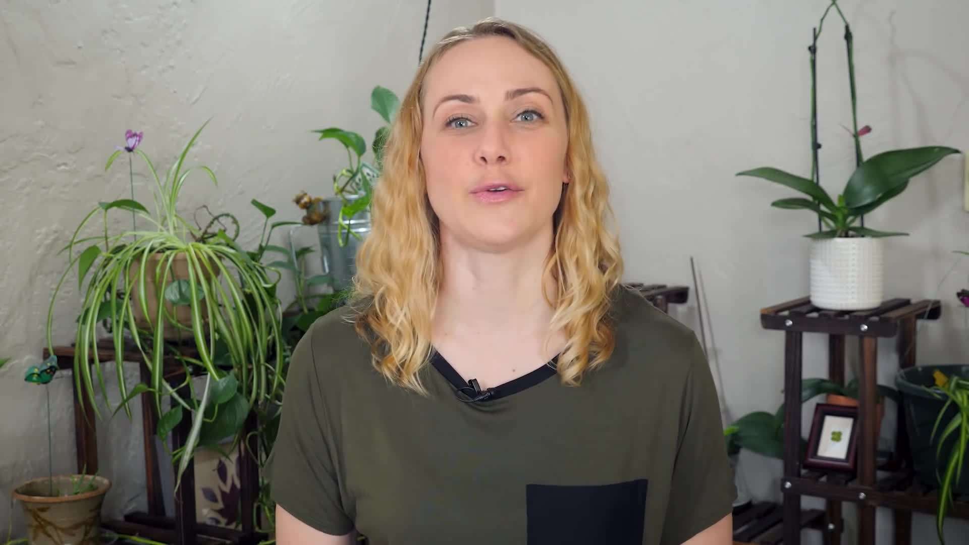 Illustration: Examples of toxic behavior